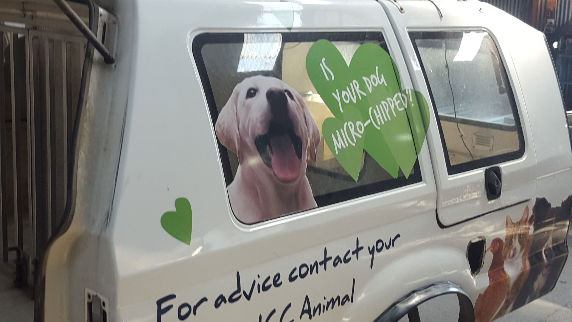 Dog van 141332